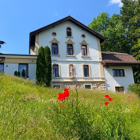Maison D Hotes Villa Les Pervenches La Chaux De Fonds Bagian luar foto